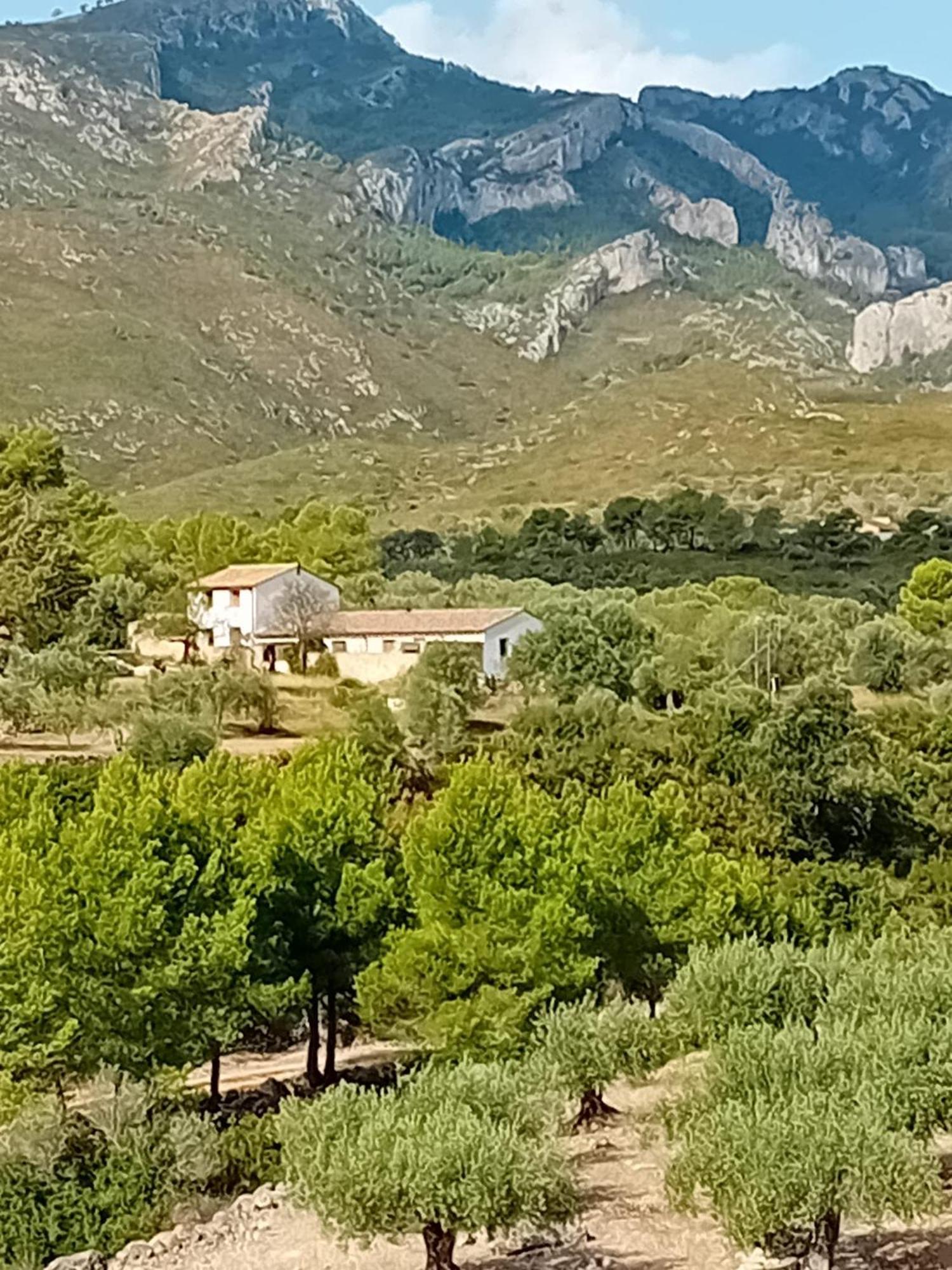 Casa Solans - Casa Rural Rasquera Luaran gambar